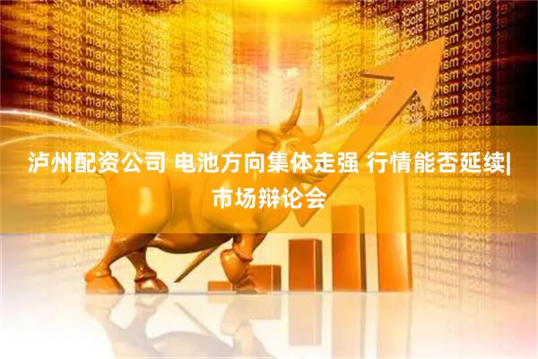 泸州配资公司 电池方向集体走强 行情能否延续|市场辩论会