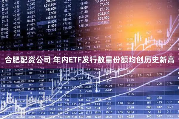 合肥配资公司 年内ETF发行数量份额均创历史新高