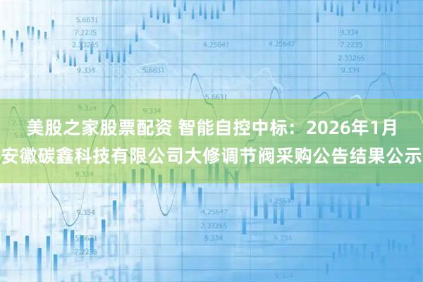 美股之家股票配资 智能自控中标：2026年1月安徽碳鑫科技有限公司大修调节阀采购公告结果公示