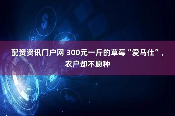 配资资讯门户网 300元一斤的草莓“爱马仕”，农户却不愿种