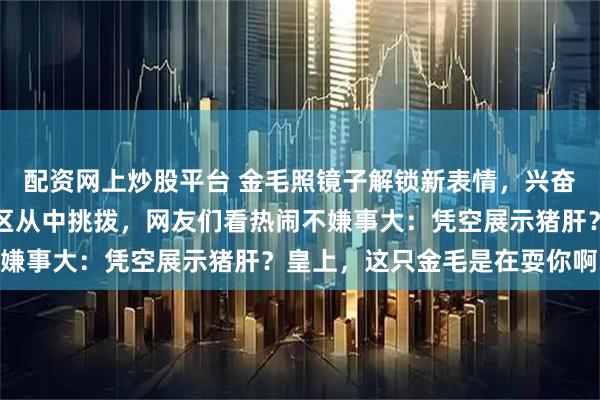 配资网上炒股平台 金毛照镜子解锁新表情，兴奋朝主人卖萌结果被评论区从中挑拨，网友们看热闹不嫌事大：凭空展示猪肝？皇上，这只金毛是在耍你啊…