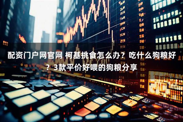 配资门户网官网 柯基挑食怎么办？吃什么狗粮好？3款平价好喂的狗粮分享
